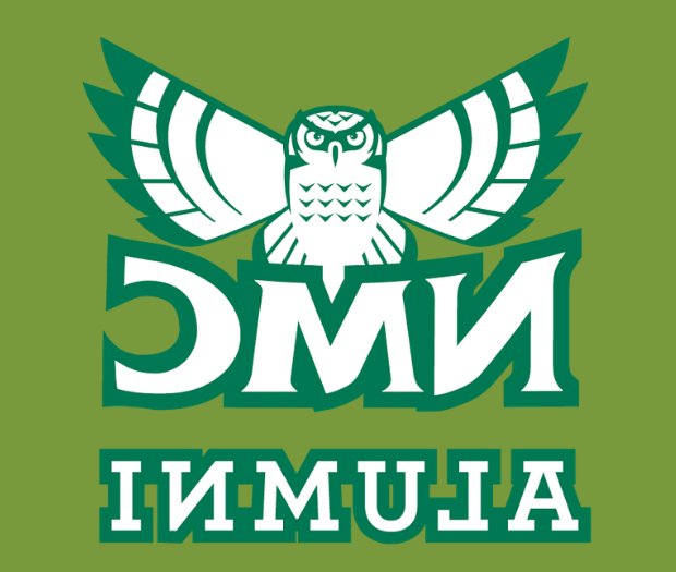 Hawk Owl Logo